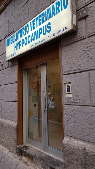 Ambulatorio Veterinario Hyppocampus