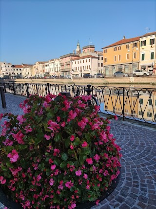 Pescheria Ittica Rosolina - Adria