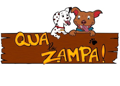 Qua La Zampa