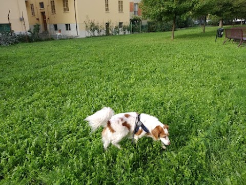 Dog sitter Bologna ★★★★★