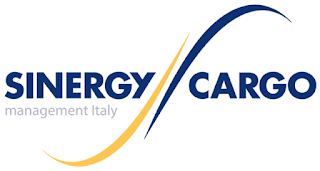 Sinergy Cargo