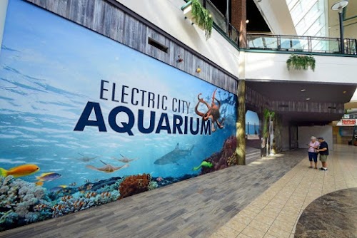 Electric City Aquarium & Reptile Den