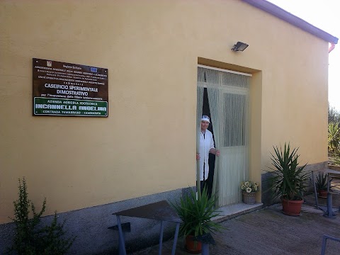 Caseificio Azienda Agricola Zootecnica Incannella Angelina