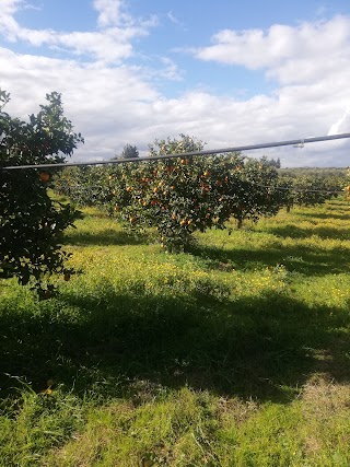 Societa' Agricola Valledoro S.R.L.