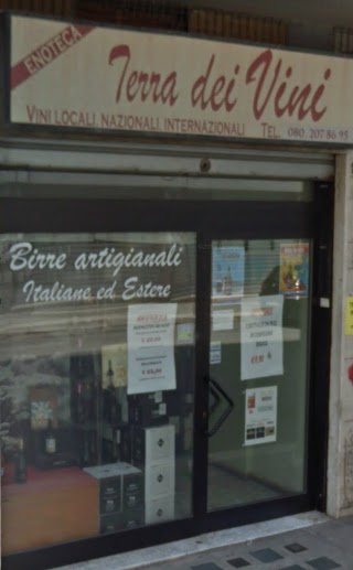 Enoteca Terra Dei Vini