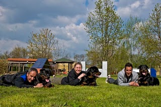 Pensione per cani e addestramento "Il ramo d'oro" di Giuseppe Parasiliti