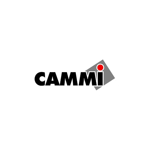 Cammi Group S.p.A. - Alfianello