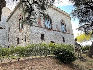 IRCCS Ospedale Policlinico San Martino