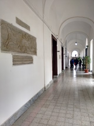 Istituto Vescovile Paritario