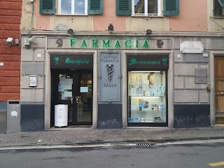 Farmacia Gallo