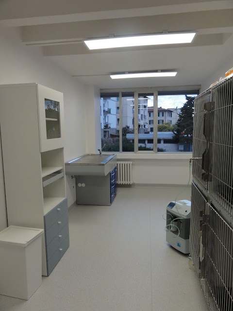 Clinica Veterinaria Firenze Sud - Pronto soccorso 24h