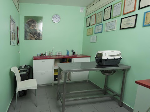Centro Veterinario Carini - Soclate srl