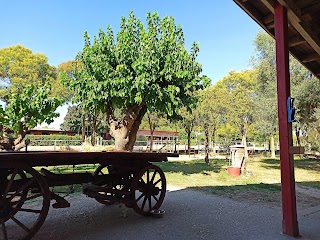 Circolo Ippico Palmanova