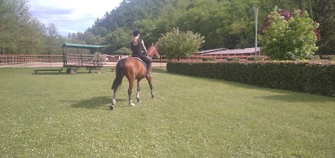 ASD Scuola Equitazione La Fenice