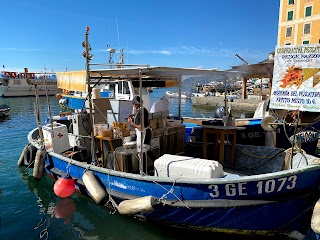 Cooperativa pescatori pesce pazzo