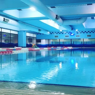 Swim & Fitness