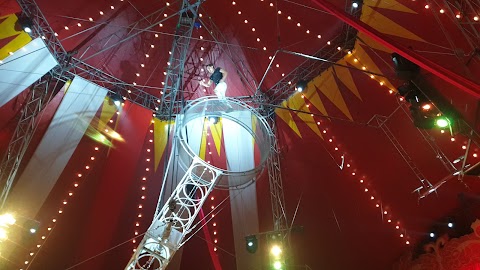 CIRCO MILLENNIUM