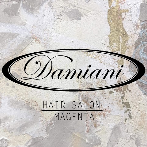 Damiani Hair Stylist