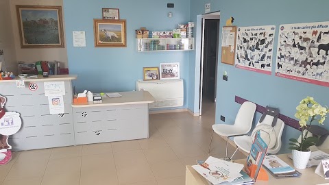 Clinica Veterinaria S. Rocco Di Pasini Diego Corrado