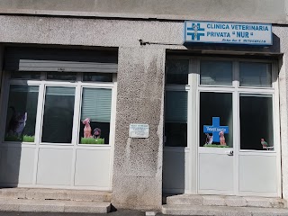 Clinica Veterinaria Nur - Trieste