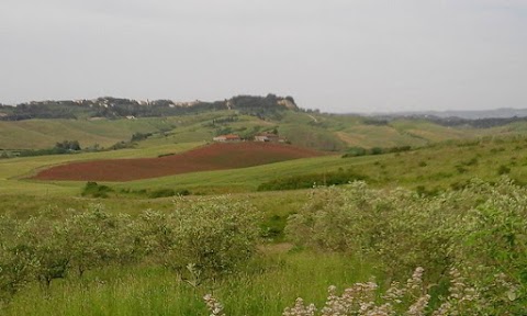 La Collina del Pane az. ag. Scuderi