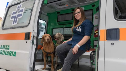 Ospedale veterinario Animal Food