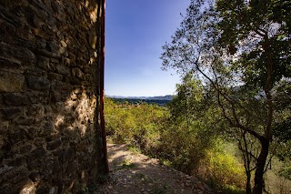 La Torre nel Bosco - CasaTorre di Canale