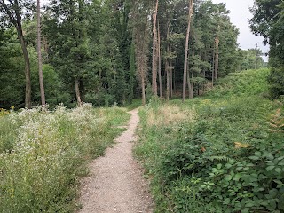 Centro Didattico Scientifico - EcoPlanetario