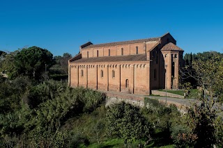 Casa Sirio Palaia