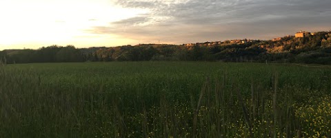 Azienda Agricola La Chiarella