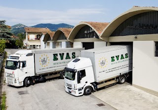 Evas Srl