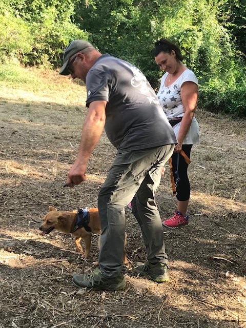 Pensione per Cani Arcobaleno Bologna