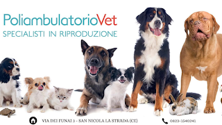 PoliambulatorioVet Dr. Tranquillo & Toelettatura