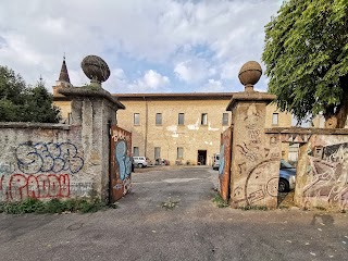 Polo Autismo di Spazio Aperto Servizi