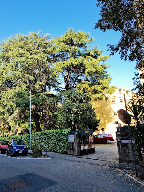 Università Degli Studi di Padova - Dipartimento di Fisica e Astronomia G. Galilei