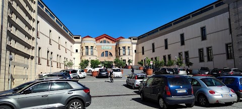 Università Mediterranea - Dipartimento di Agraria