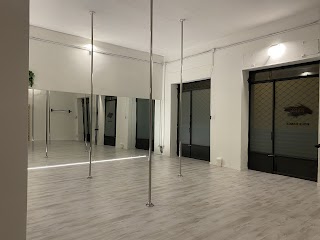 Reverse studio Asd Pole dance Torino