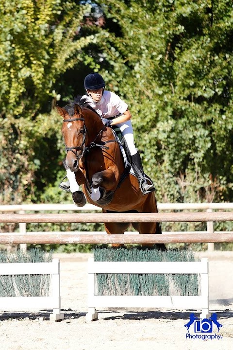 ASD Centro di Equitazione il Bosco