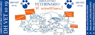 Ambulatorio Veterinario DH VET 10 19 delle Dr.sse Mainini, Papò e Zanoli