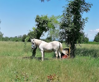 Circolo Ippico "Cascina Belvedere"