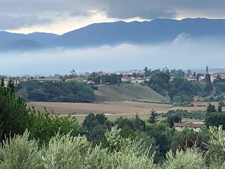 La Culla del Mugello