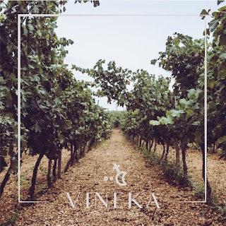 Vineka Wine