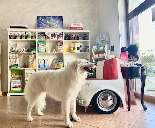 BEAUTY PET SALON