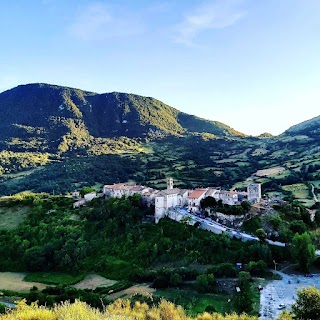 Università Agraria di Vallecupola