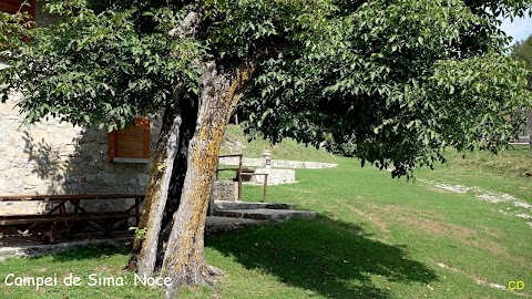 Rifugio Campei de Sima