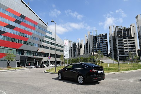 ES Driver - Noleggio Con Conducente - Tesla