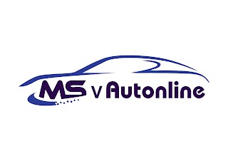 Messina Servizi v Autonline