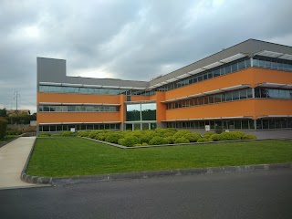 Istituto Oncologico Del Mediterraneo