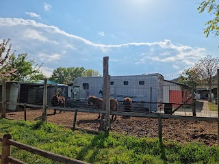 Centro ippico e Centro Cinofilo la Camilla