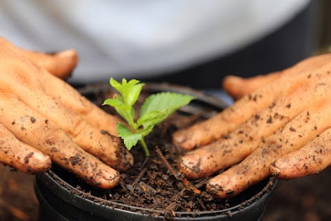 Zooagricola - Alimenti e Mangimi per Animali, Prodotti per l'Agricoltura e Giardinaggio